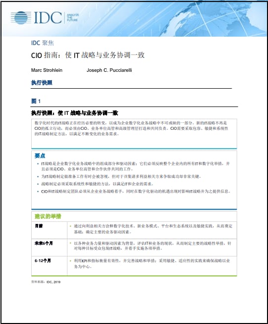 CIO 指南:使 IT 战略与业务协调一致